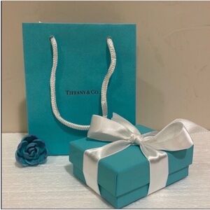 NEW✨ Tiffany & Co. Gift Bag+Turquoise Box+ White Ribbon